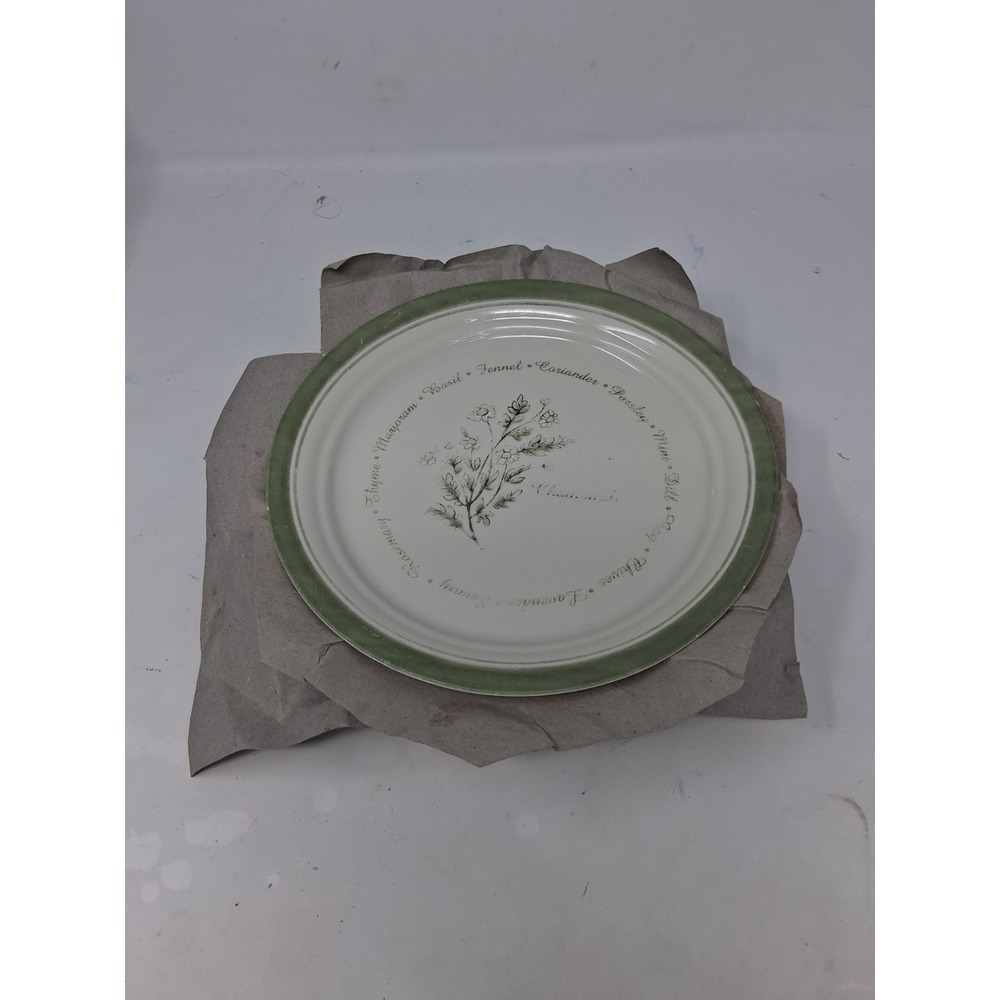 5 Corelle Thymeless Herbs Chamomile Luncheon Lunch Plates 8-1/2" Lg Salad Green